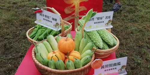 桐鄉十大市民最喜愛農產品評選活動火熱開啟，投票參與贏好禮！